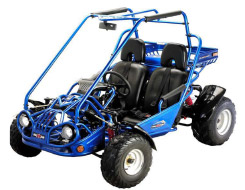 Maxxam 150 2r Dune Buggy